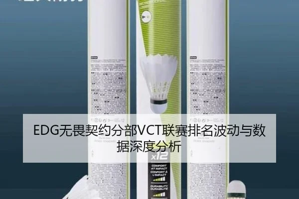 EDG无畏契约分部VCT联赛排名波动与数据深度分析