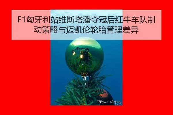 xiong-ya-li-zhan-wei-si-ta-pan-duo-guan-hou-hong-niu-che-dui-zhi-dong-ce-lve-yu-mai-kai-lun-lun-tai-guan-li-cha-yi-2-990.jpg