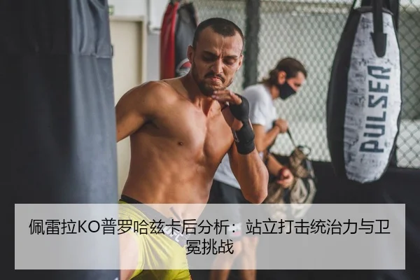 佩雷拉KO普罗哈兹卡后分析：站立打击统治力与卫冕挑战